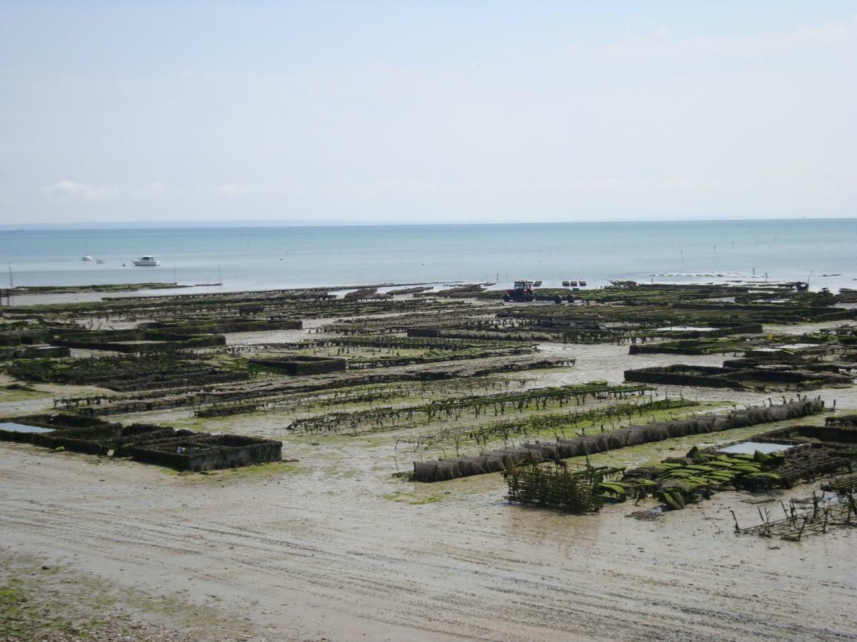 Petit Coin De Paradis Apartman Cancale Kültér fotó